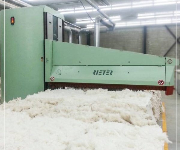 134154981_211629840629157_1734594109090470432_o