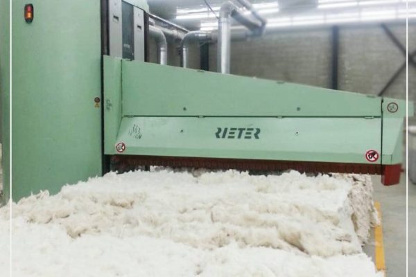 134154981_211629840629157_1734594109090470432_o